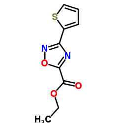 Ethyl 3-(2-thienyl)-1,2,4-oxadiazole-5-carboxylate structure