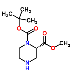 (S)-1-Boc-哌嗪-2-甲酸甲酯结构式