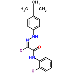 2-[2-(4-TERT-BUTYLPHENYL)HYDRAZONO]-2-CHLORO-N-(2-CHLOROPHENYL)ACETAMIDE Structure