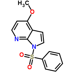 1H-PYRROLO[2,3-B]PYRIDINE, 4-METHOXY-1-(PHENYLSULFONYL)- picture