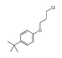 1-tert-butyl-4-(3-chloropropoxy)benzene Structure