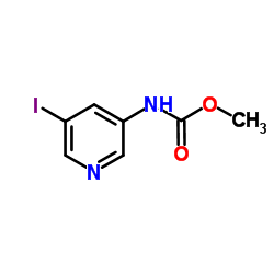 Methyl (5-iodo-3-pyridinyl)carbamate Structure