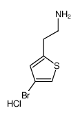 4-溴-2-噻吩乙胺盐酸盐结构式