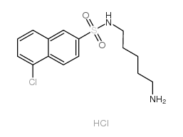 N-(5-氨基戊基)-5-氯-2-萘磺酰胺盐酸盐图片