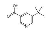 5-TERT-BUTYLNICOTINIC ACID Structure