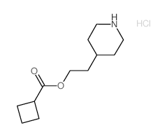 2-(4-Piperidinyl)ethyl cyclobutanecarboxylate hydrochloride Structure