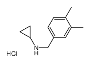 N-Cyclopropyl-3,4-dimethylbenzylamine hydrochloride, 4-(Cyclopropylamino)-o-xylene hydrochloride structure