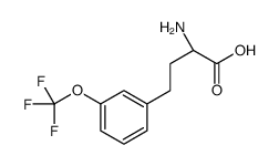 (2S)-2-amino-4-[3-(trifluoromethoxy)phenyl]butanoic acid结构式