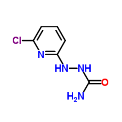 2-(6-CHLORO-2-PYRIDINYL)-1-HYDRAZINECARBOXAMIDE structure