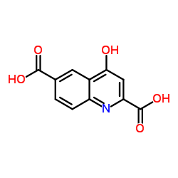4-Hydroxy-2,6-quinolinedicarboxylic acid结构式