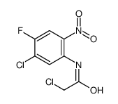 2-chloro-N-(5-chloro-4-fluoro-2-nitrophenyl)acetamide结构式