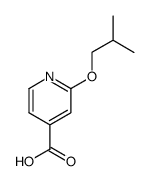2-isobutoxy-isonicotinic acid Structure