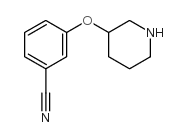 3-(3-哌啶氧基)苯甲腈结构式