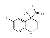 4-AMINO-6-FLUOROCHROMAN-4-CARBOXYLIC ACID picture
