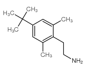 2-(4-叔丁基-2,6-二甲基苯基)乙胺结构式