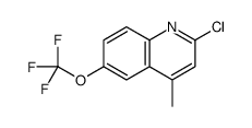 2-chloro-4-methyl-6-(trifluoromethoxy)quinoline Structure