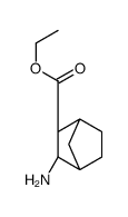 乙基3-氨基双环[2.2.1]庚烷-2-羧酸酯图片