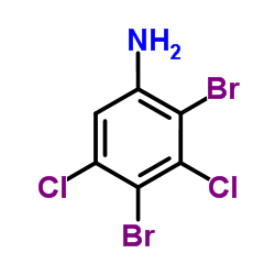 2,4-Dibromo-3,5-dichloroaniline Structure