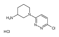 1-(6-Chloro-pyridazin-3-yl)-piperidin-3-ylamine hydrochloride Structure