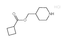 4-Piperidinylmethyl cyclobutanecarboxylate hydrochloride结构式