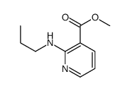 3-Pyridinecarboxylicacid,2-(propylamino)-,methylester(9CI) picture