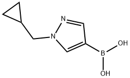 1-Cyclopropylmethyl-1H-pyrazole-4-boronic acid picture