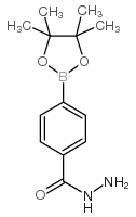 4-(Hydrazinecarbonyl)phenylboronic acid Structure