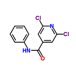 2,6-Dichloro-N-phenylisonicotinamide结构式