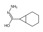 Bicyclo[4.1.0]heptane-7-carboxylic acid, hydrazide (9CI)结构式