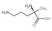 D-Ornithine, 2-methyl- (9CI) Structure