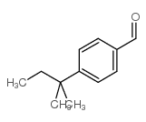 4-(tert-Pentyl)benzaldehyde picture