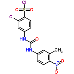 2-CHLORO-4-[3-(3-METHYL-4-NITRO-PHENYL)-UREIDO]-BENZENESULFONYL CHLORIDE结构式