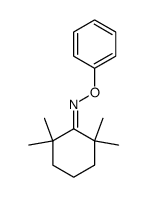 2,2,6,6-tetramethylcyclohexan-1-oneO-phenyl oxime Structure