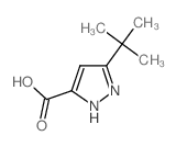 5-TERT-BUTYL-2H-PYRAZOLE-3-CARBOXYLIC ACID structure