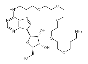 n6-[((((3-aminopropoxy(ethoxy))ethoxy)ethoxy)ethoxy)-propyl]adenosine Structure