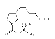 3-(3-METHOXYPROPYLAMINO)PYRROLIDINE-1-CARBOXYLIC ACID TERT-BUTYL ESTER picture
