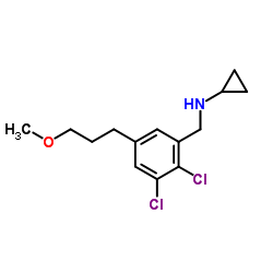 N-[2,3-Dichloro-5-(3-methoxypropyl)benzyl]cyclopropanamine结构式