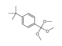 1-tert-butyl-4-(trimethoxymethyl)benzene Structure