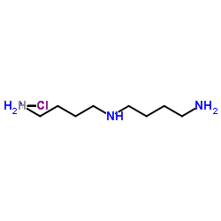 syM-HomosperMidine Trihydrochloride图片