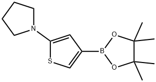 2-(Pyrrolidino)thiophene-4-boronic acid pinacol ester结构式