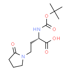 Boc-(S)-2-amino-4-(2-oxopyrrolidin-1-yl)butanoic acid structure