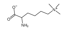 Laminine Structure