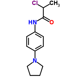 2-Chloro-N-[4-(1-pyrrolidinyl)phenyl]propanamide结构式