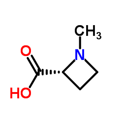 (2R)-1-methylazetidine-2-carboxylic acid structure