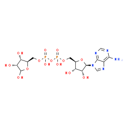 Poly Adenosine Diphosphate Ribose structure