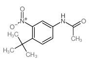 Acetamide,N-[4-(1,1-dimethylethyl)-3-nitrophenyl]-结构式
