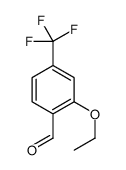 Benzaldehyde, 2-ethoxy-4-(trifluoromethyl)- (9CI) Structure