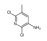 2,6-dichloro-5-methylpyridin-3-amine structure