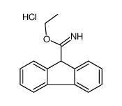 ethyl 9H-fluorene-9-carboximidate,hydrochloride结构式
