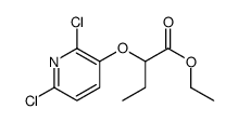 ethyl 2-(2,6-dichloropyridin-3-yl)oxybutanoate Structure